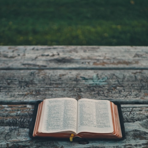 Swahle Ministries June 2026 Sunday School Study Guides and Word Search Puzzles
